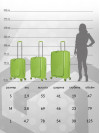 Чемодан на колесах L большой, зеленый - Чемодан полипропилен, семейный Lcase