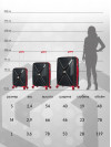 Набор чемоданов на колесах S + M (маленький и средний), черный - Чемодан полипропилен, семейный Lcase