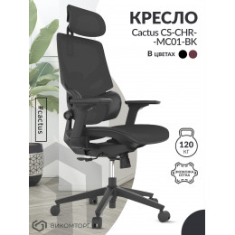 Кресло Cactus CS-CHR-MC01-BK черный сет./эко.кожа с подголов. крестов. пластик подст.для ног